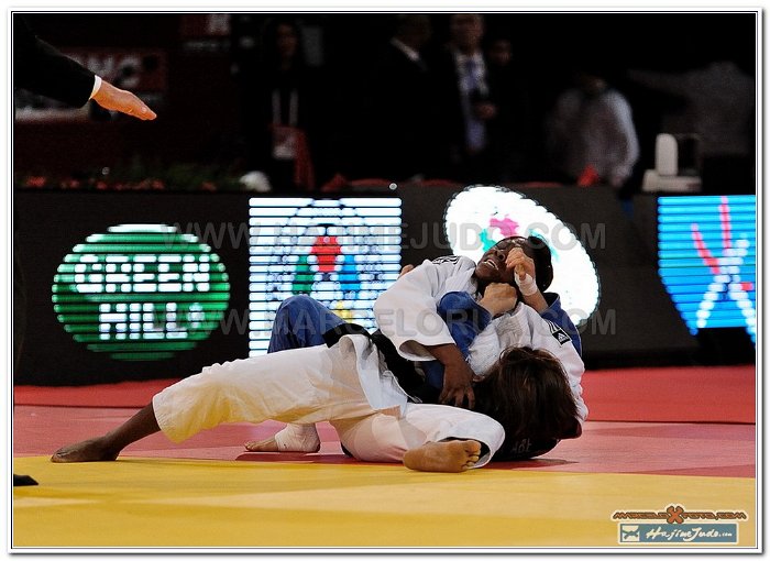 Grand Slam Paris 2013 Judo